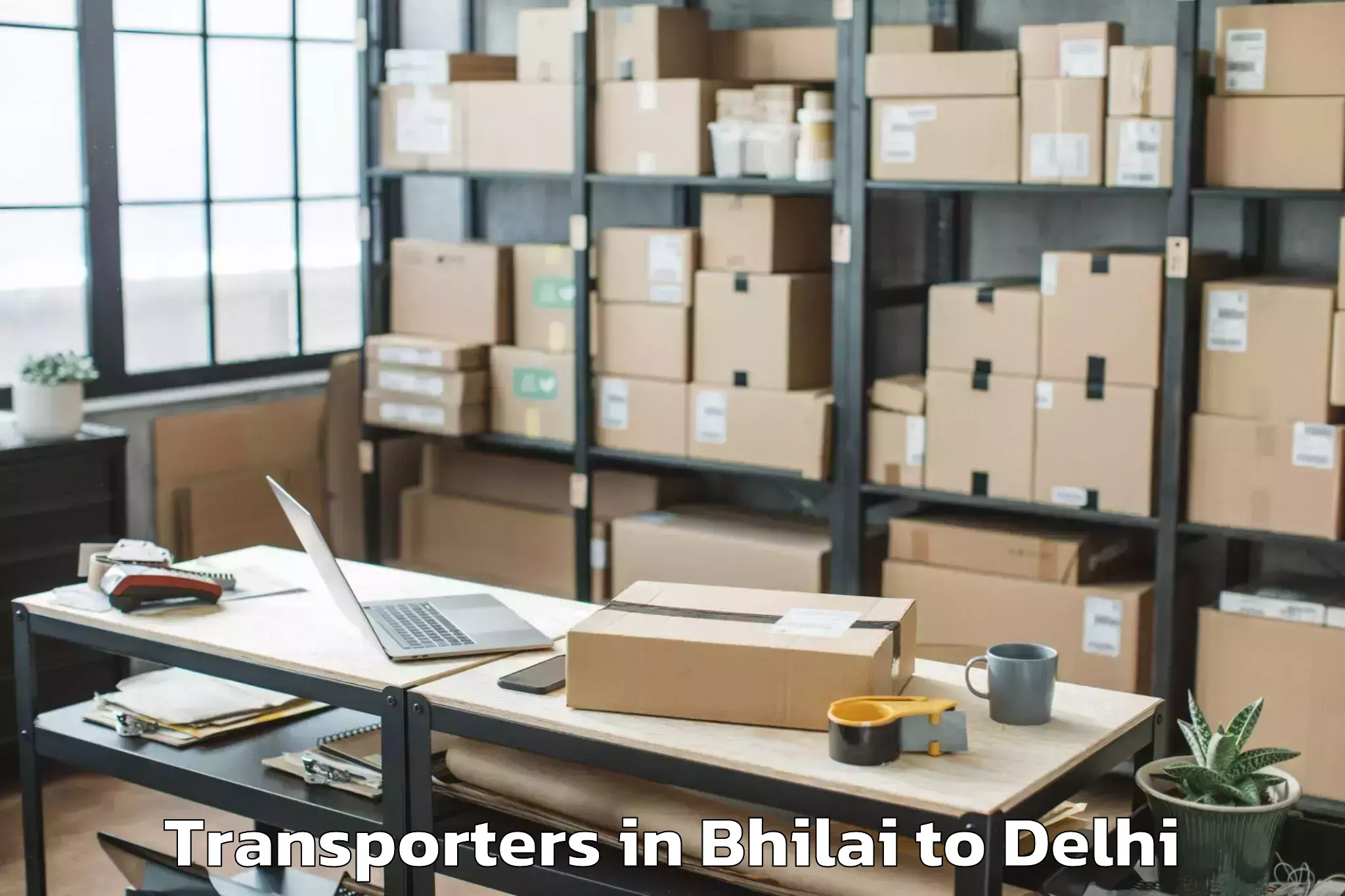 Professional Bhilai to Parsvnath Mall Akshardham Transporters